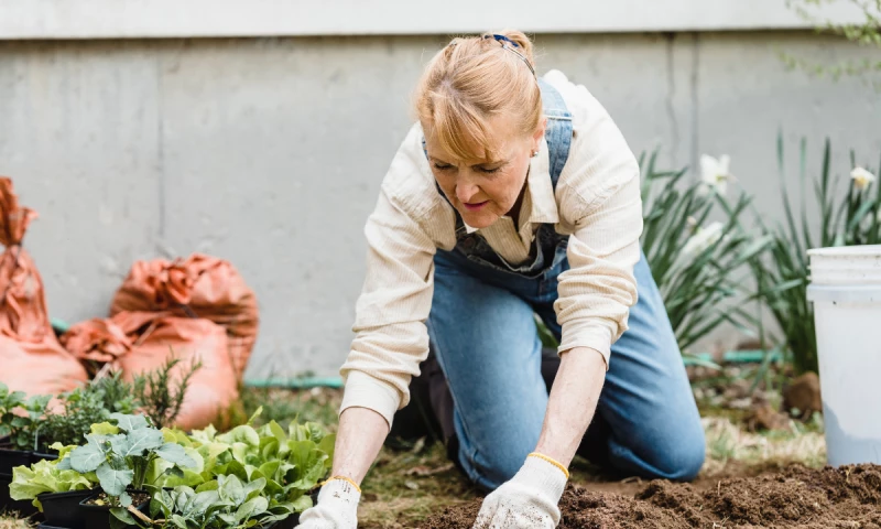 Cherish PR - JEYES - The Great British Garden Spruce Up! 