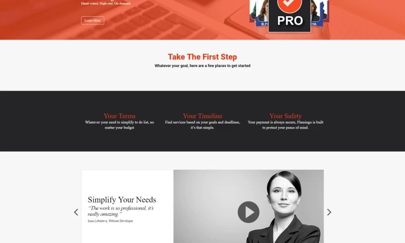 BMN Infotech - Flamingogigs