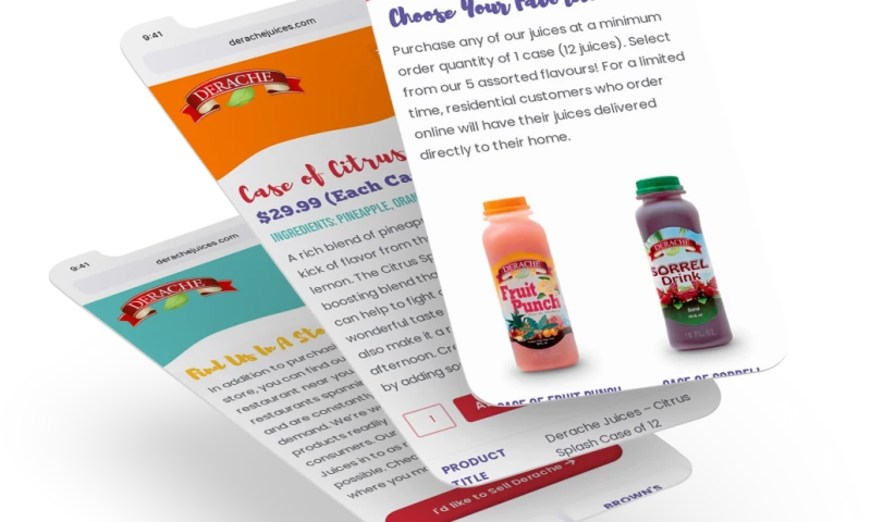 Design Develop Now, Inc - Derache Juices