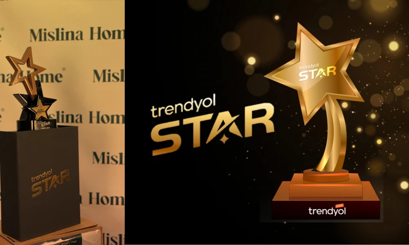 Dynaside Digital Solutions - Mislina Home