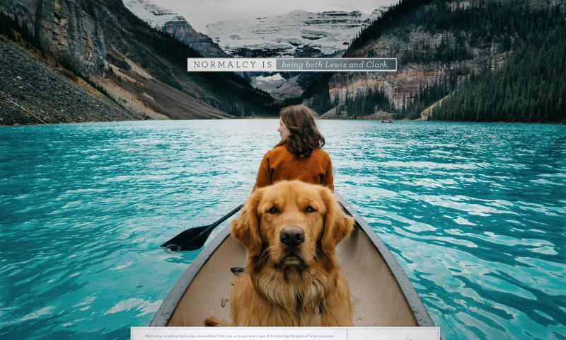 North American Spine