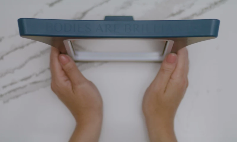 Nyssa's VieVision Between Legs Mirror