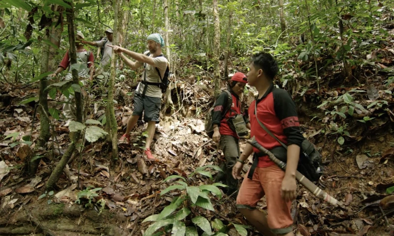 The Nature Conservancy | Recording the Rainforest