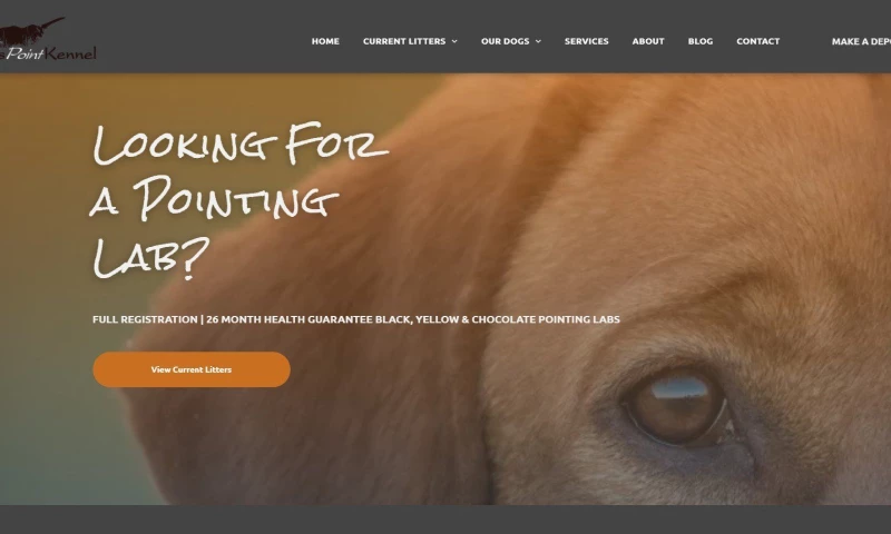 Flyway Media - Hunters Point Kennel