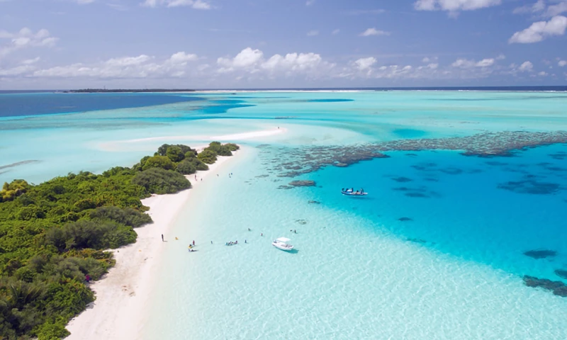 Browser London - Digitally Transforming Financial Regulation in Bermuda