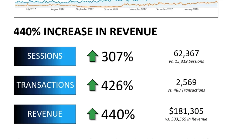 Ecommerce Marketing - Ecommerce SEO Case Study