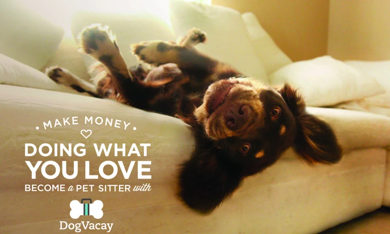 DogVacay