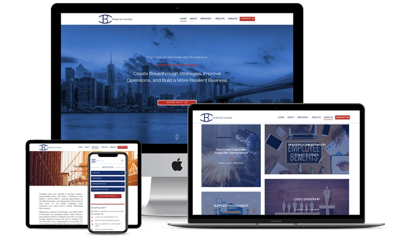 Bionic Egg - BridgeCap Consulting