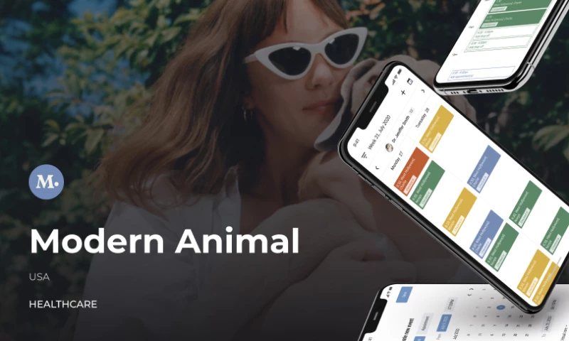WeSoftYou - Modern Animal