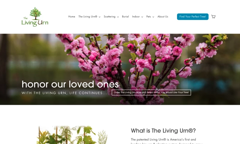 SEO and Content Marketing