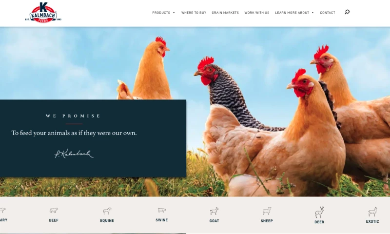 SEO and Content Marketing