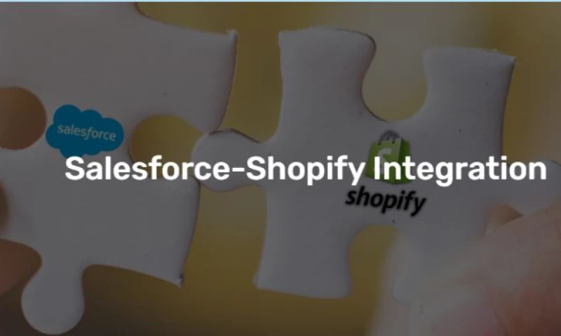 Technology Mindz - Salesforce Shopify Integration