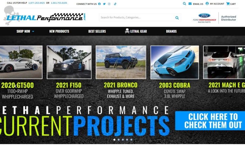 LethalPerformance.com Search Marketing Campaign