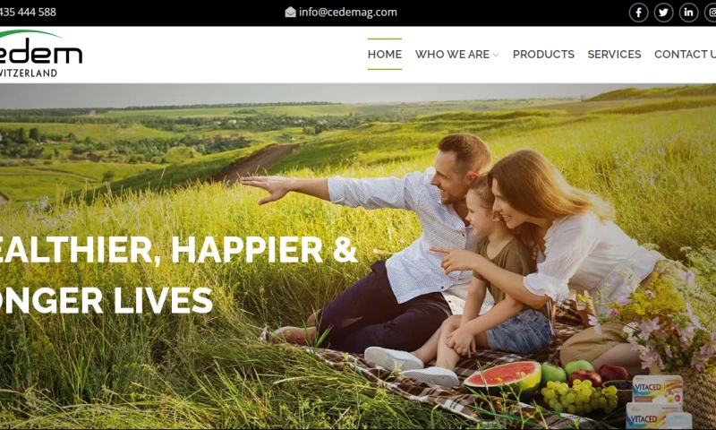 CSSChopper - Cedem: Website Upgrade