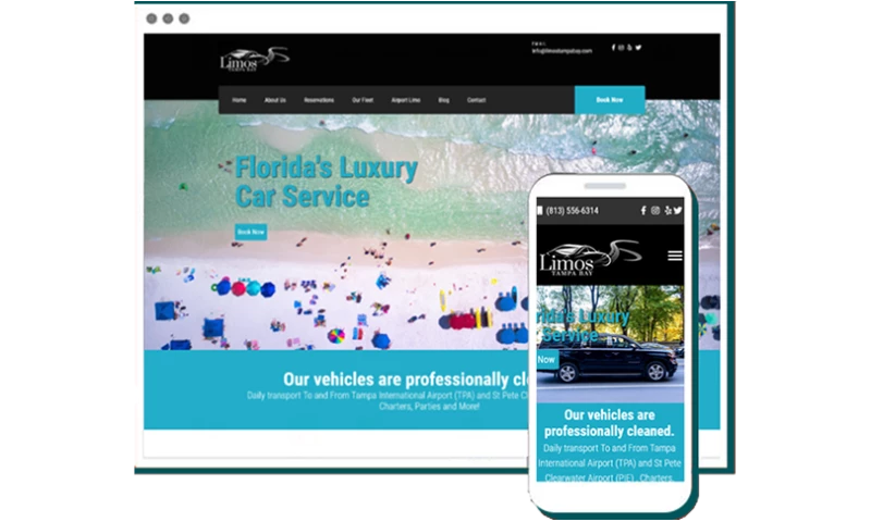 MWD Web Design - Limos Tampa Bay