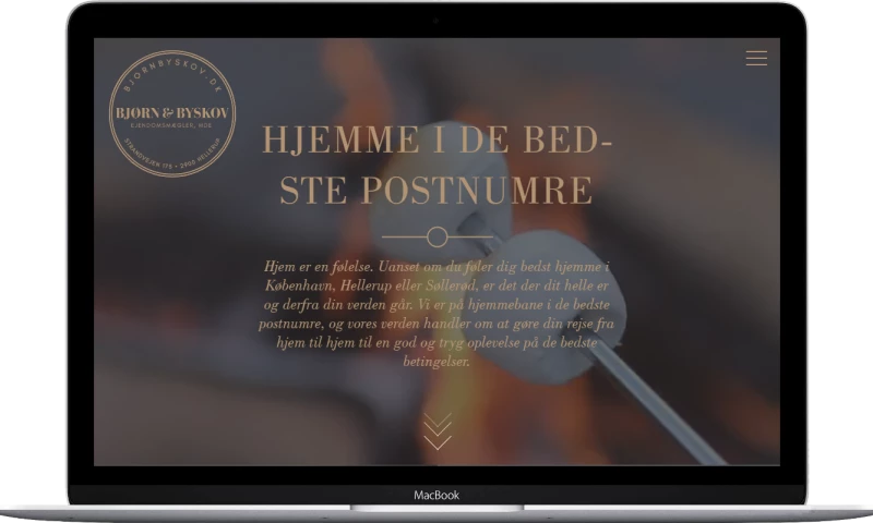 Real Estate website development