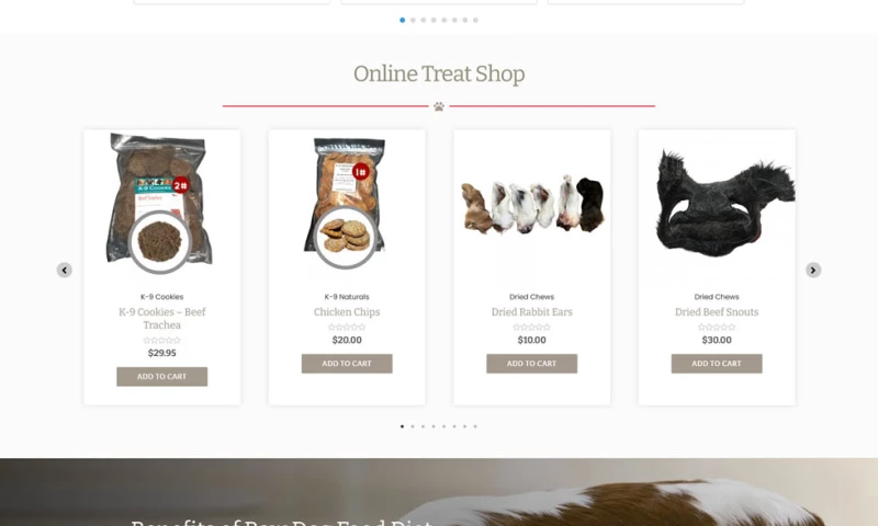 Ecommerce Website
