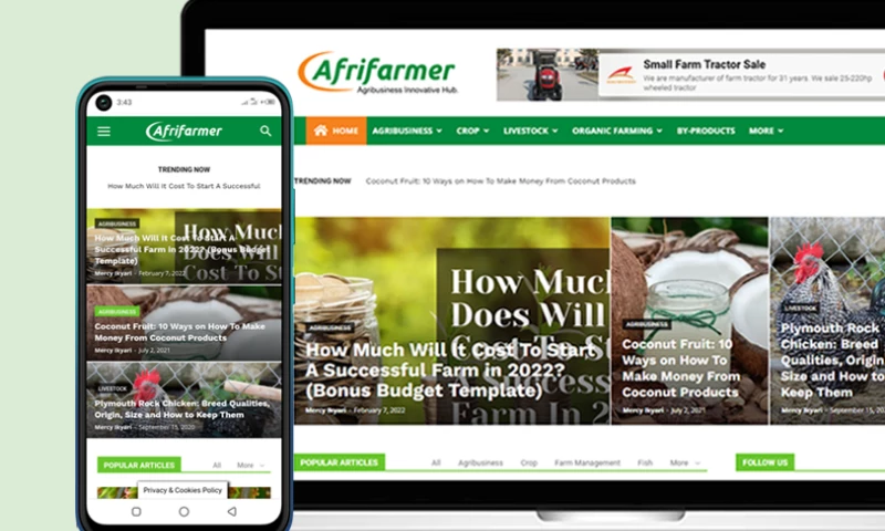 Simtech Creative - Brand identity and website design - Afrifarmer