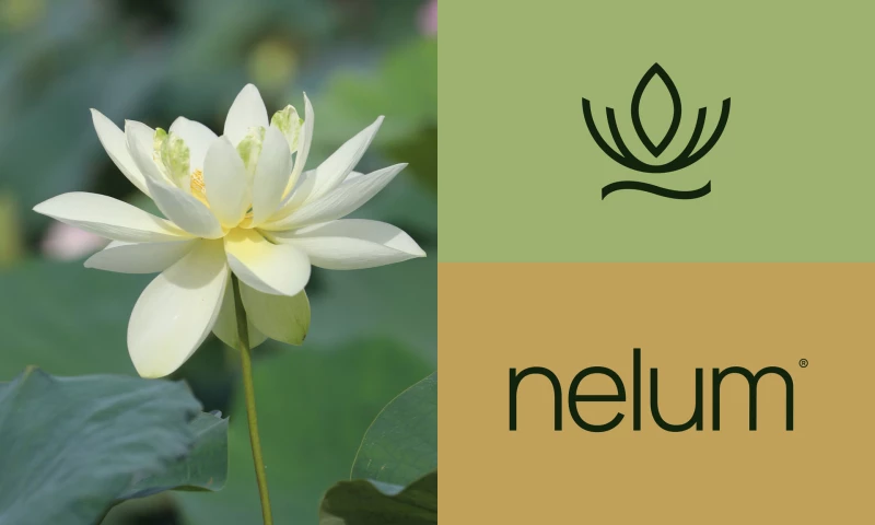 Uttu Studio - Brand Foundation For Nelum