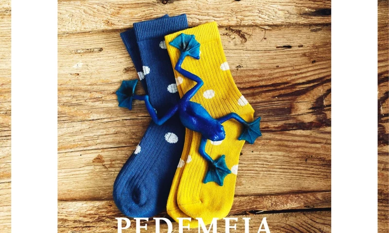 André Craveiro - Digital Marketing Consultant - Pedemeia