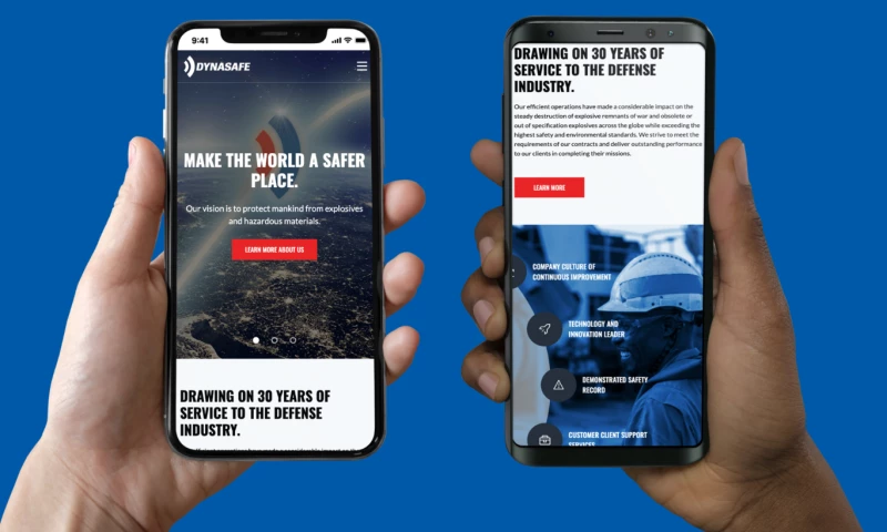 Lounge Lizard - Dynasafe