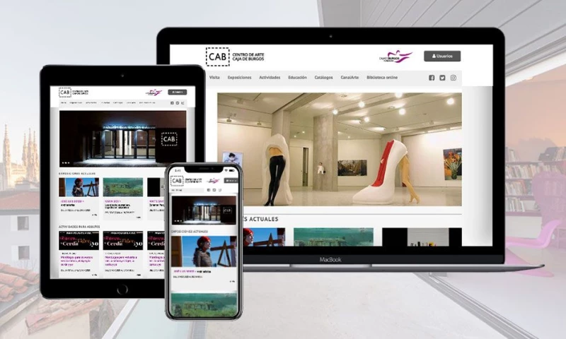 Diceto - Website Design