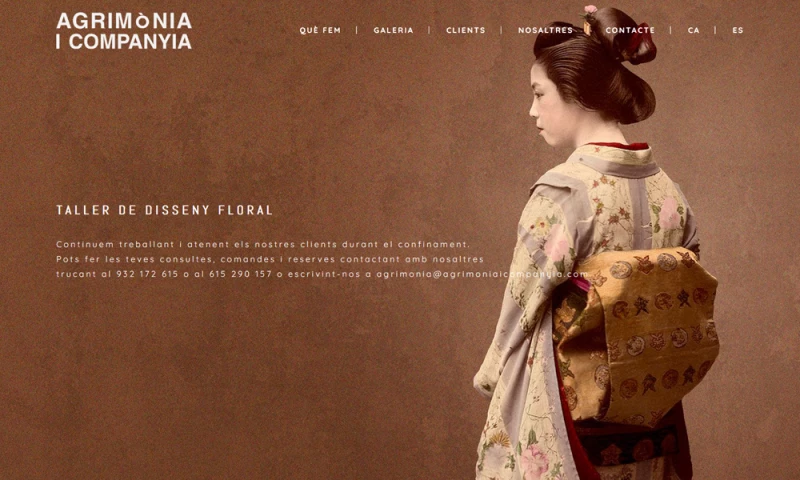 The Webmaster - Agrimònia i Companyia