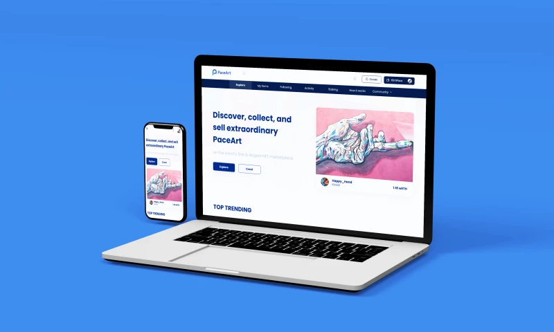 SOTATEK JSC - PACE ART