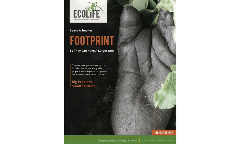 MAD GROUP - Ecolife Branding & Campaign