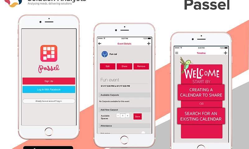 Solution Analysts - Passel