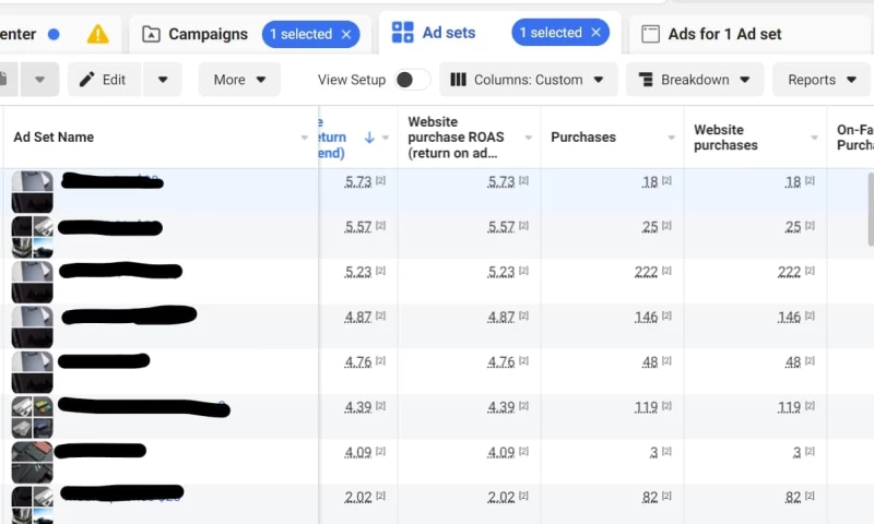 Vox Web Solutions - Facebook Ads For Vertex Case