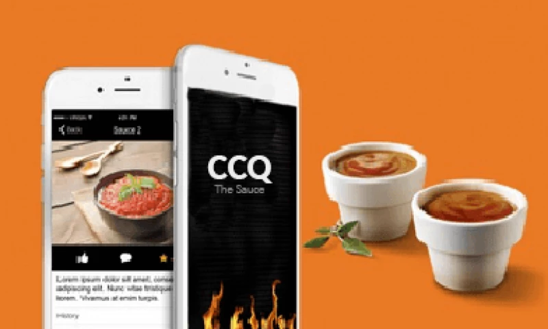 Wildnet Technologies Ltd. - Product Catalogue Application