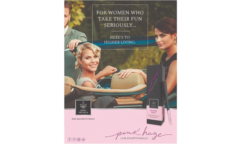 MAD GROUP - Pink Haze Branding