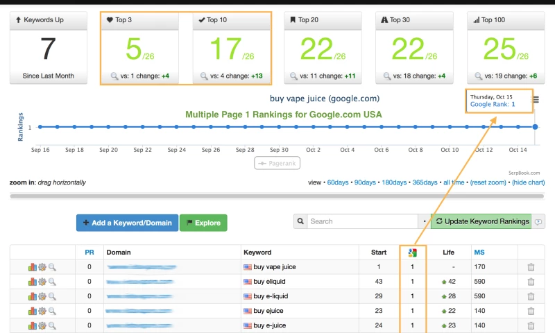 National SEO Campaign