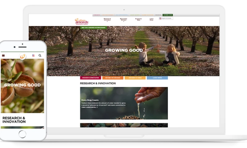 CALIFORNIA ALMONDS. We made worldwide brand management flexible and adaptive.