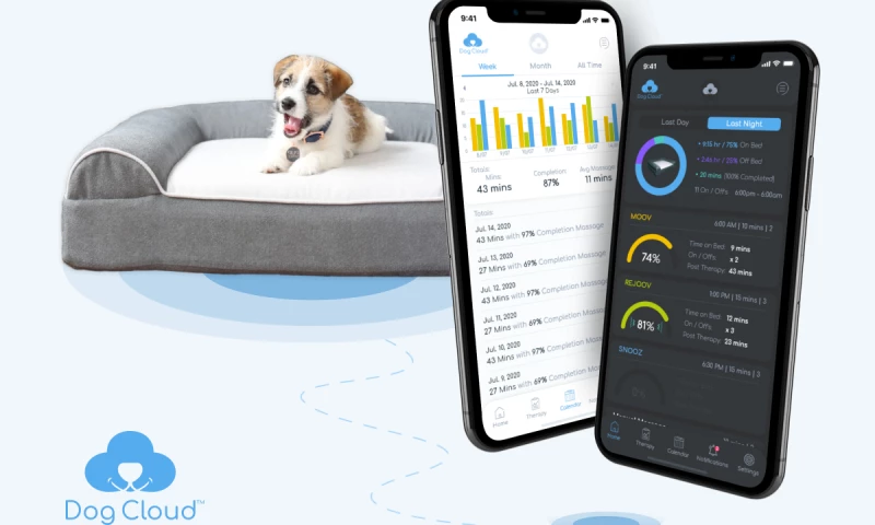 Indeema Software - Mobile IoT Solution for controlling Massage Beds for Dogs