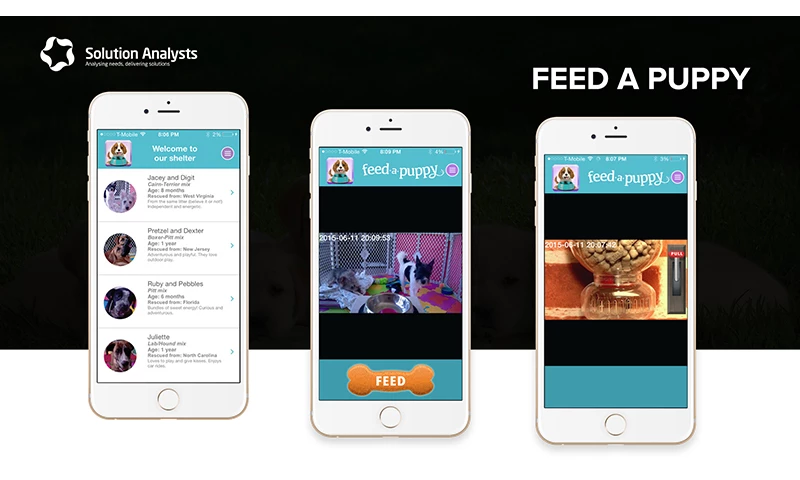 Solution Analysts - Feed a Puppy App