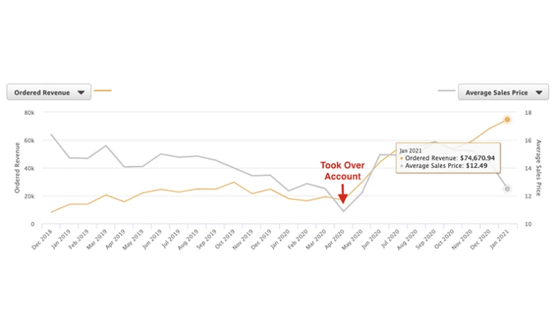 BellaVix - Decline in Sales in the Pet Category - Case Study