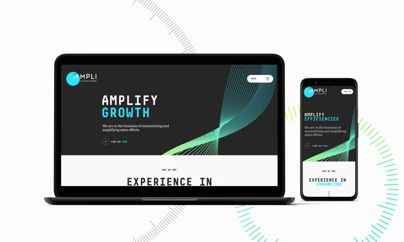 B2B Sales Growth Company Brand Identity & Website