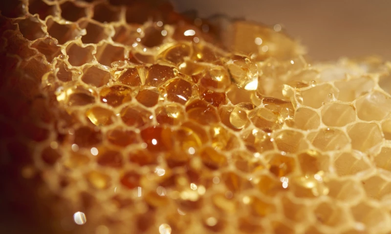 A lifestyle that goes beyond a perfume brand