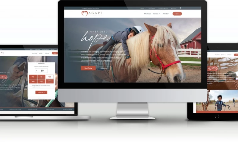 Evergreen Results - An Updated Brand, Website, & Renewed Culture