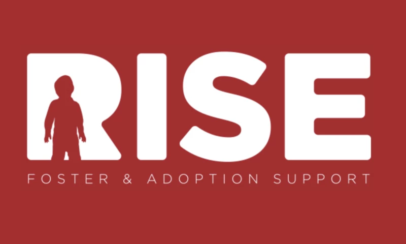 Evergreen Results - An Impactful Brand for an Incredible Nonprofit