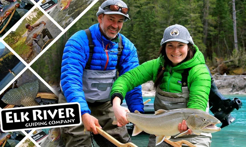 Shopify eCommerce & WordPress Integration