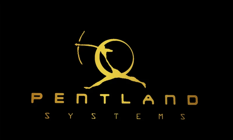 Logo design and branding by G3 Creative