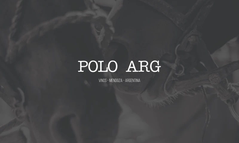 Big Sur Branding - Polo Wine