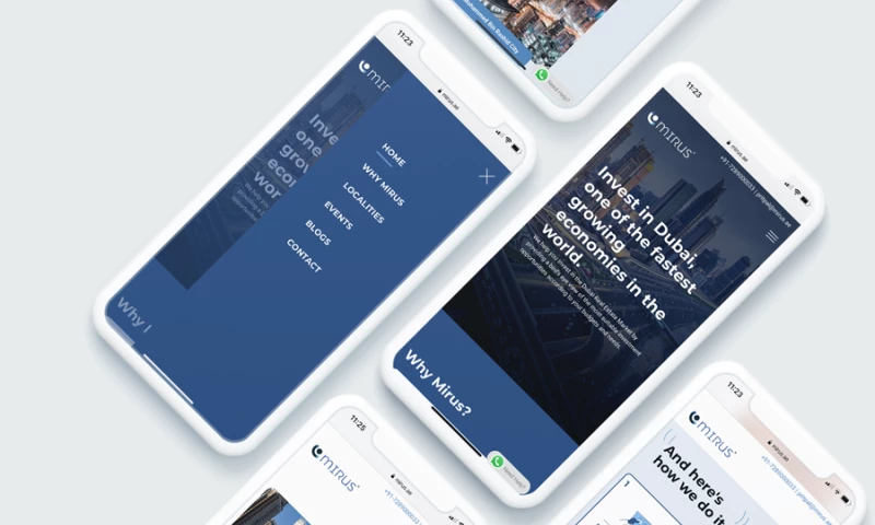 Designbox Studio - Mirus Global