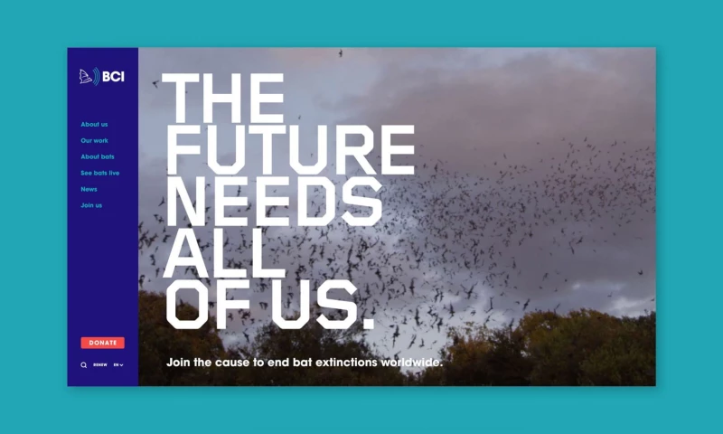 BAT CONSERVATION INTERNATIONAL