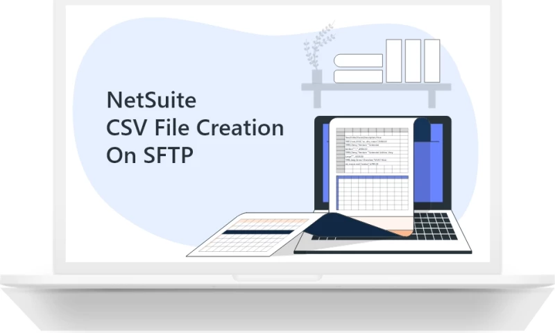 VNMT solutions - NetSuite Implementation