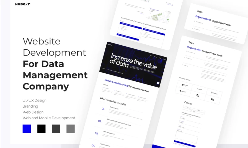 Web Development & Branding for Software Company