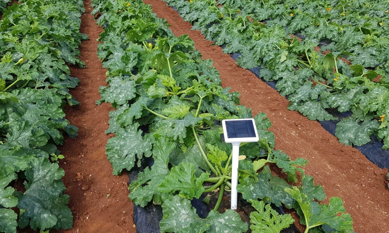 Cellock - Farming Sensors Big Data Project